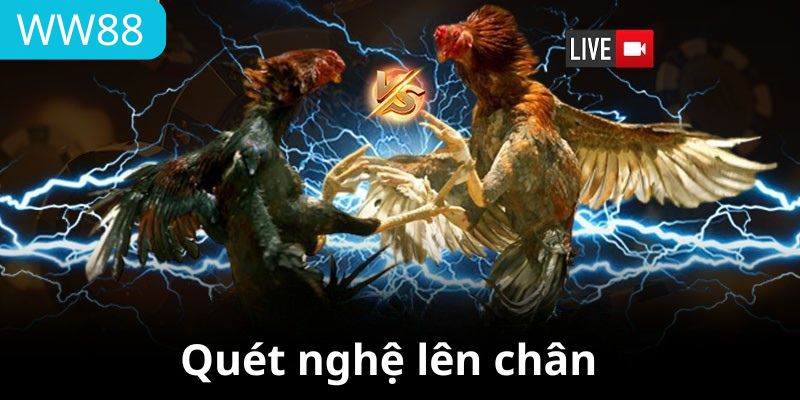 Thoa nghệ cần đều tay, tránh dính vào vảy mềm
